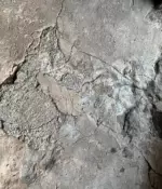 Pyrite Removal ArboMTL