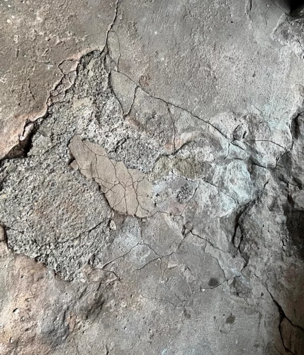 Pyrite Removal ArboMTL