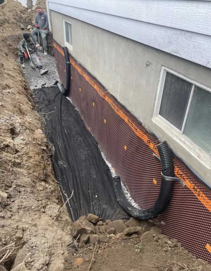 Drain francais french drain solage solide 2024 in progress DDO ArboMTL